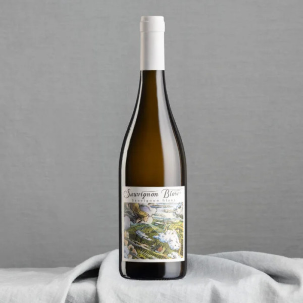 KTCN Sauvignon Blow Bio Sauvignon Blanc